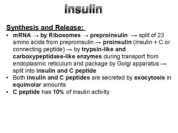 Insulin Synthesis and Release: • m. RNA → by Ribosomes → preproinsulin → split