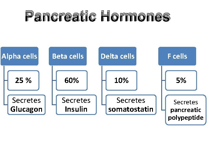 Pancreatic Hormones Alpha cells 25 % Secretes Glucagon Beta cells 60% Secretes Insulin Delta