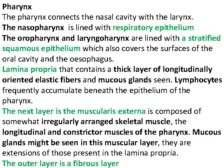 Pharynx The pharynx connects the nasal cavity with the larynx. The nasopharynx is lined