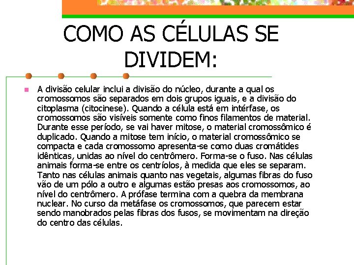 COMO AS CÉLULAS SE DIVIDEM: n A divisão celular inclui a divisão do núcleo,