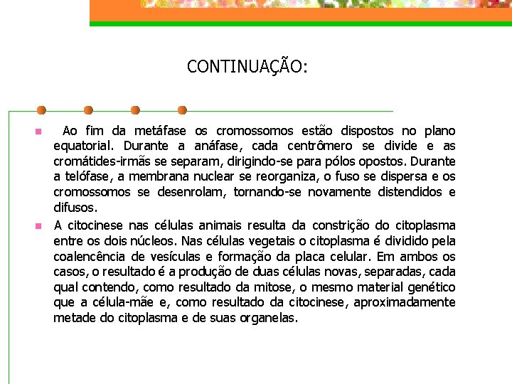 CONTINUAÇÃO: n n Ao fim da metáfase os cromossomos estão dispostos no plano equatorial.