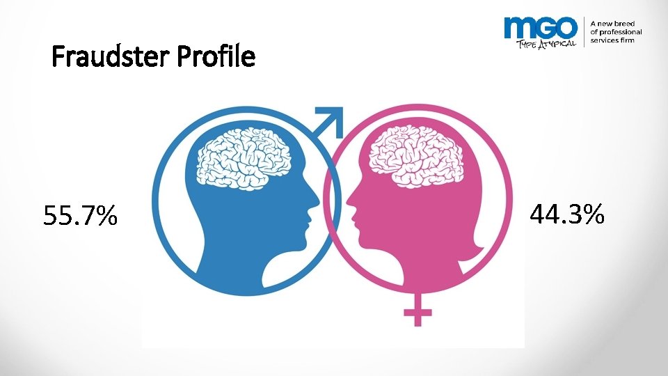 Fraudster Profile 55. 7% 44. 3% 