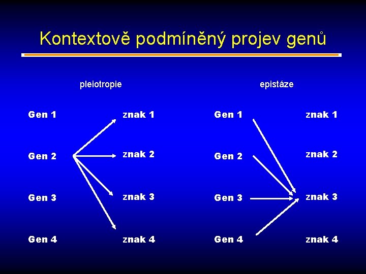 Kontextově podmíněný projev genů pleiotropie epistáze Gen 1 znak 1 Gen 2 znak 2