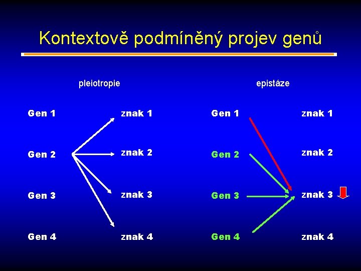 Kontextově podmíněný projev genů pleiotropie epistáze Gen 1 znak 1 Gen 2 znak 2