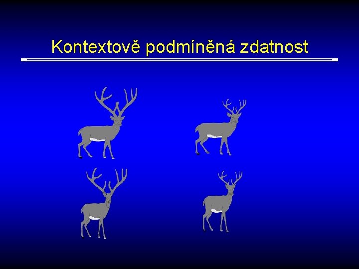 Kontextově podmíněná zdatnost 