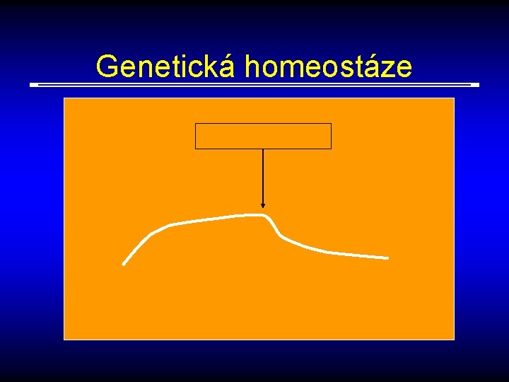 Genetická homeostáze 