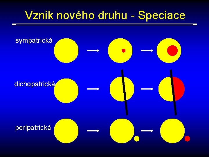 Vznik nového druhu - Speciace sympatrická dichopatrická peripatrická 