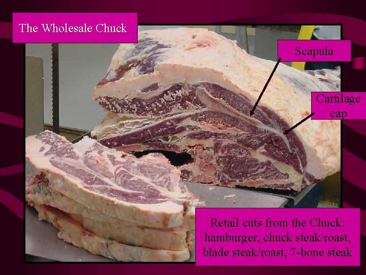 The Wholesale Chuck Scapula Cartilage cap Retail cuts from the Chuck: hamburger, chuck steak/roast,