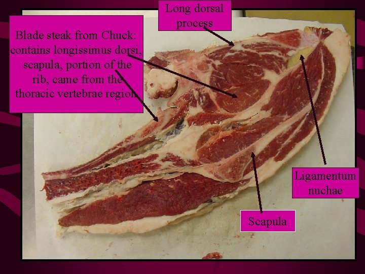 Blade steak from Chuck: contains longissimus dorsi, scapula, portion of the rib, came from