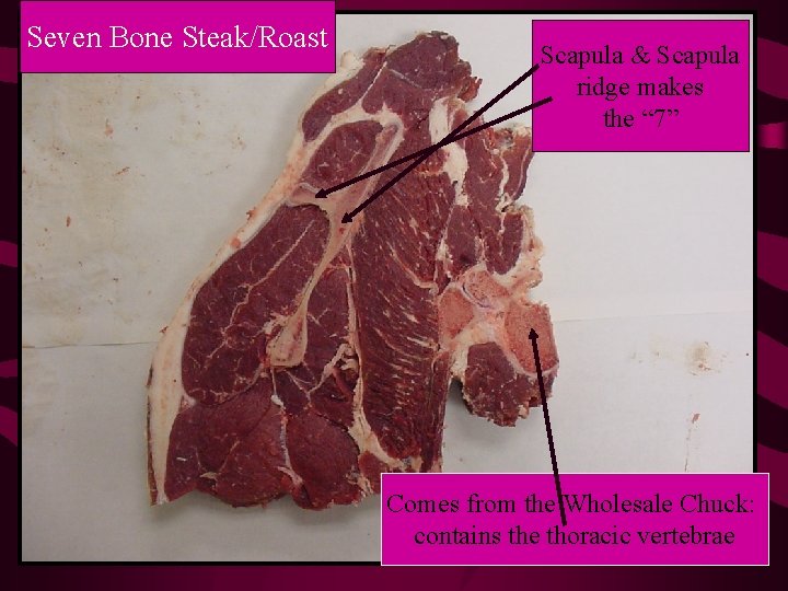 Seven Bone Steak/Roast Scapula & Scapula ridge makes the “ 7” Comes from the