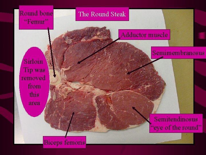 Round bone “Femur” The Round Steak Adductor muscle Semimembranosus Sirloin Tip was removed from