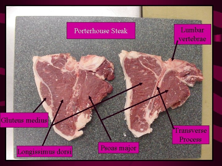 Porterhouse Steak Lumbar vertebrae Gluteus medius Transverse Process Longissimus dorsi Psoas major 