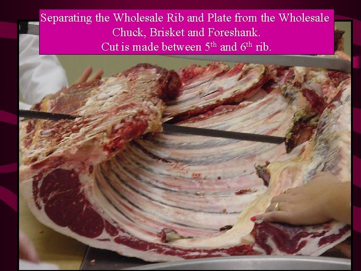 Separating the Wholesale Rib and Plate from the Wholesale Chuck, Brisket and Foreshank. Cut