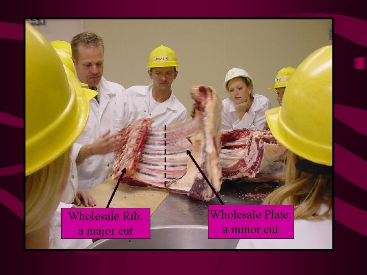 Wholesale Rib: a major cut Wholesale Plate: a minor cut 