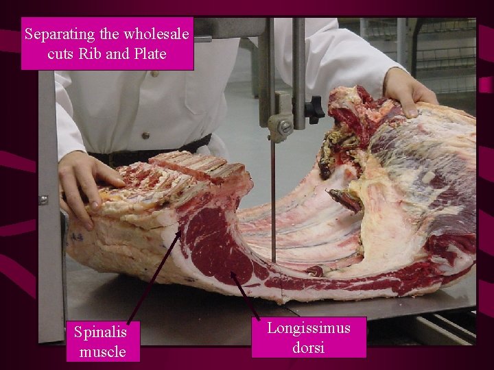 Separating the wholesale cuts Rib and Plate Spinalis muscle Longissimus dorsi 