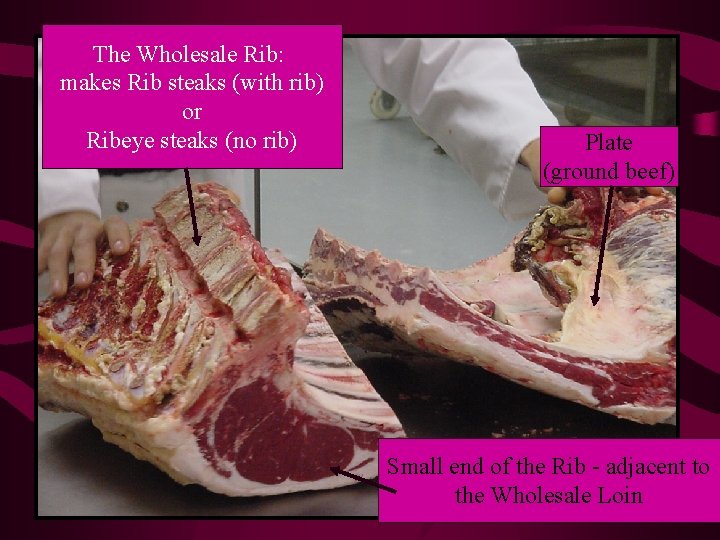 The Wholesale Rib: makes Rib steaks (with rib) or Ribeye steaks (no rib) Plate