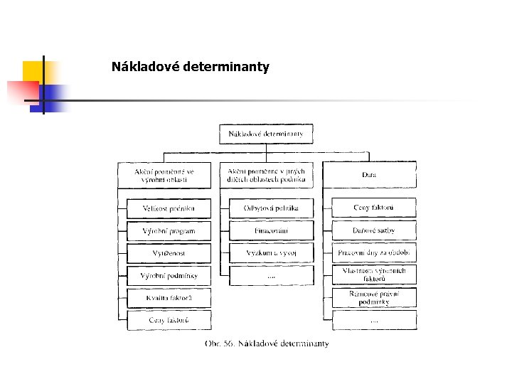 Nákladové determinanty 