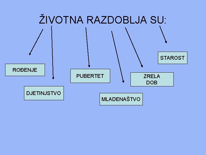 ŽIVOTNA RAZDOBLJA SU: STAROST ROĐENJE PUBERTET DJETINJSTVO MLADENAŠTVO ZRELA DOB ŽIVOTNA RAZDOBLJA SU: STAROST ROĐENJE PUBERTET DJETINJSTVO MLADENAŠTVO ZRELA DOB