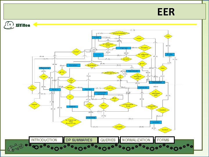 EER INTRODUCTION DP SUMMARIES QUERIES NORMALIZATION FORMS 