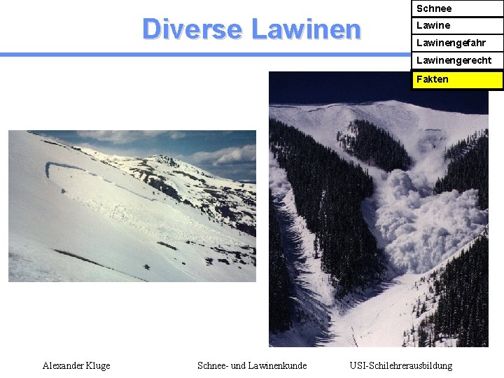 Diverse Lawinen Schnee Lawinengefahr Lawinengerecht Fakten Alexander Kluge Schnee- und Lawinenkunde USI-Schilehrerausbildung 