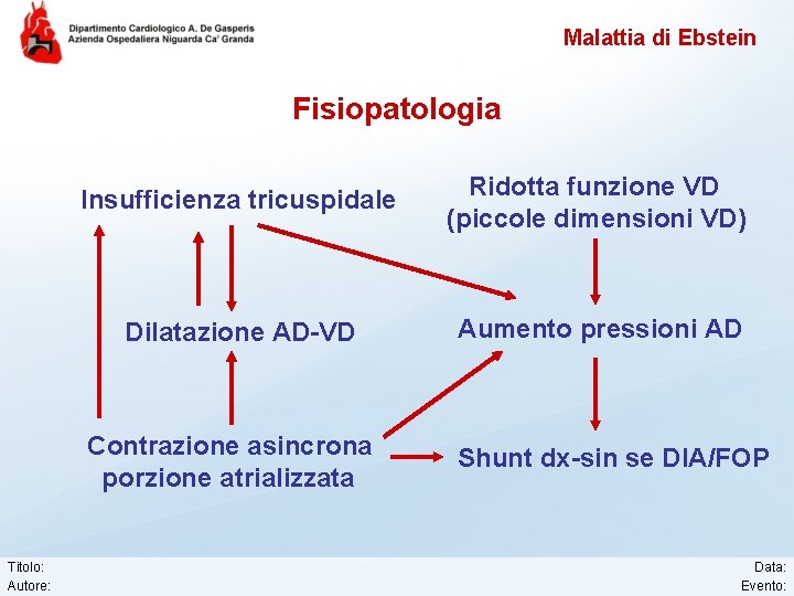 Malattia di Ebstein Fisiopatologia Insufficienza tricuspidale Ridotta funzione VD (piccole dimensioni VD) Dilatazione AD-VD