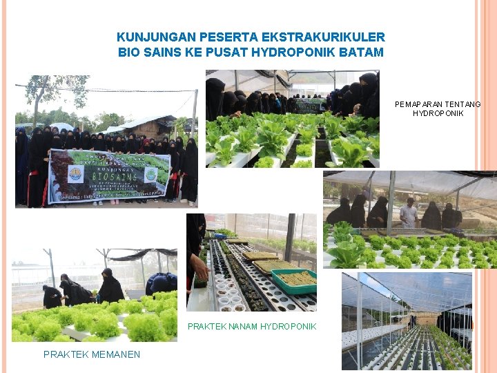 KUNJUNGAN PESERTA EKSTRAKURIKULER BIO SAINS KE PUSAT HYDROPONIK BATAM PEMAPARAN TENTANG HYDROPONIK PRAKTEK NANAM