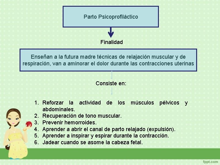 Parto Psicoprofiláctico Finalidad Enseñan a la futura madre técnicas de relajación muscular y de