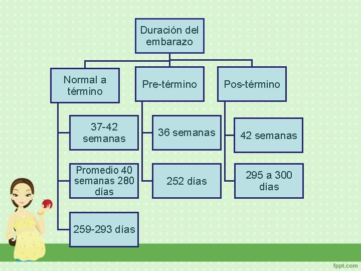 Duración del embarazo Normal a término Pre-término Pos-término 37 -42 semanas 36 semanas 42