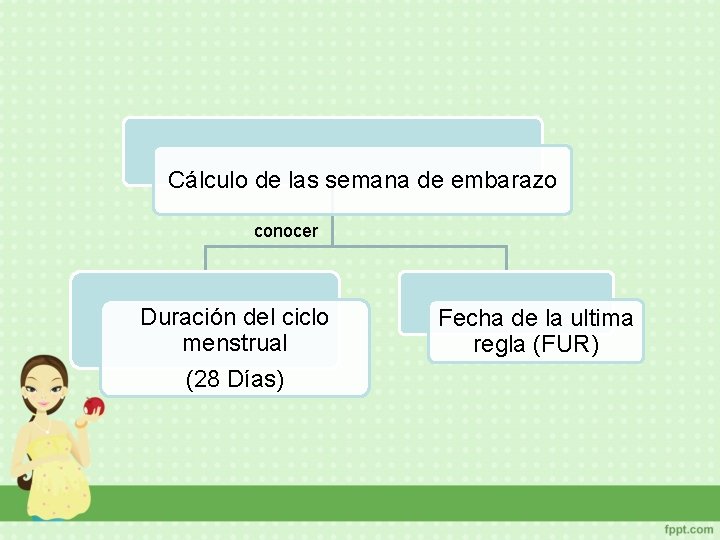 Cálculo de las semana de embarazo conocer Duración del ciclo menstrual (28 Días) Fecha