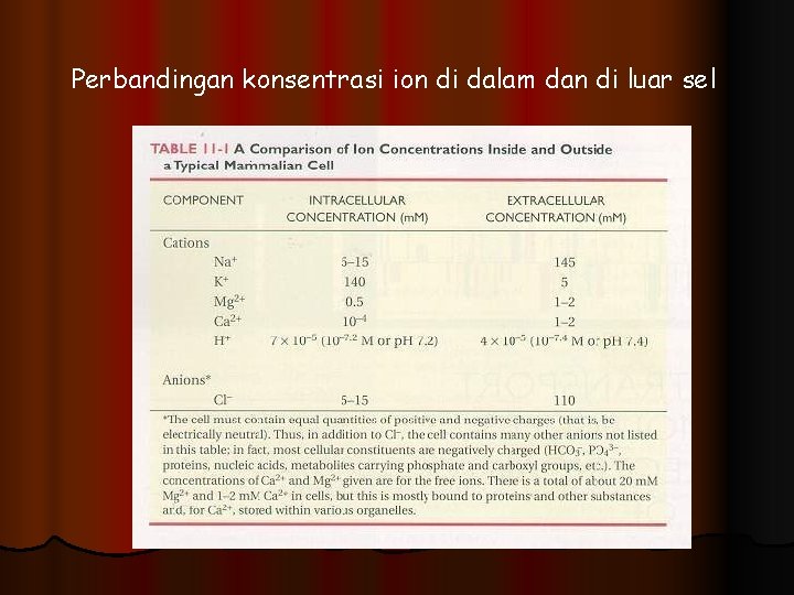 Perbandingan konsentrasi ion di dalam dan di luar sel 