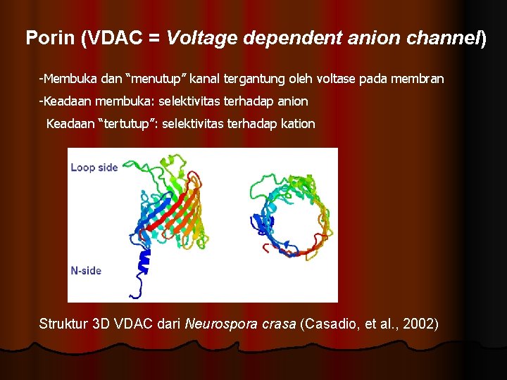 Porin (VDAC = Voltage dependent anion channel) -Membuka dan “menutup” kanal tergantung oleh voltase