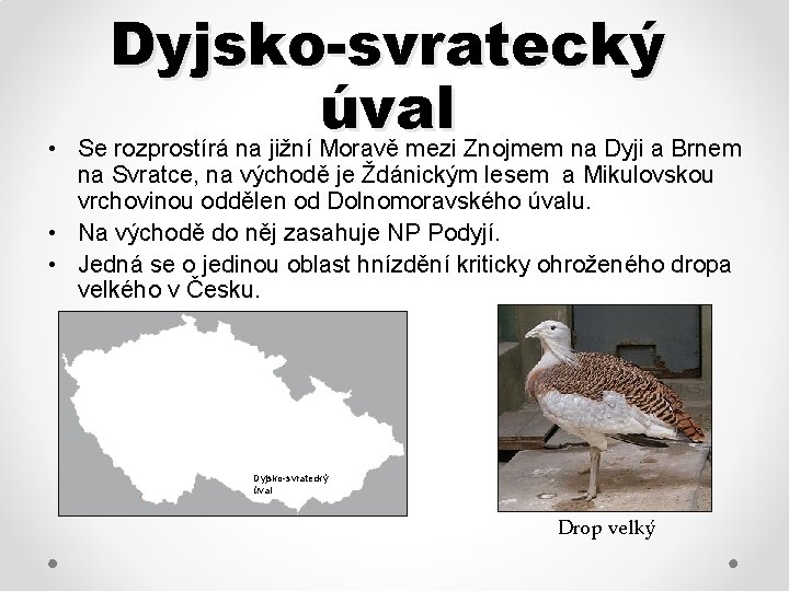  • Dyjsko-svratecký úval Se rozprostírá na jižní Moravě mezi Znojmem na Dyji a