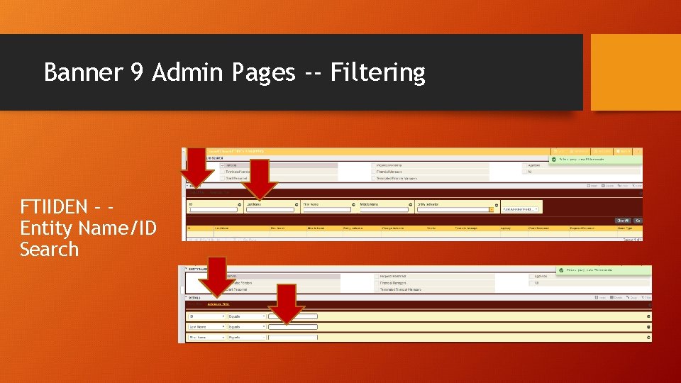 Banner 9 Admin Pages -- Filtering FTIIDEN – Entity Name/ID Search 