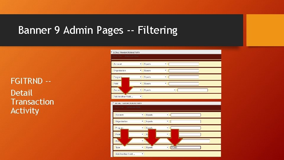 Banner 9 Admin Pages -- Filtering FGITRND -Detail Transaction Activity 