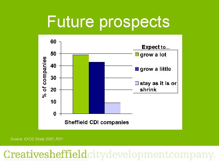 Future prospects Expect to… Source: EKOS Study 2007, RSY 