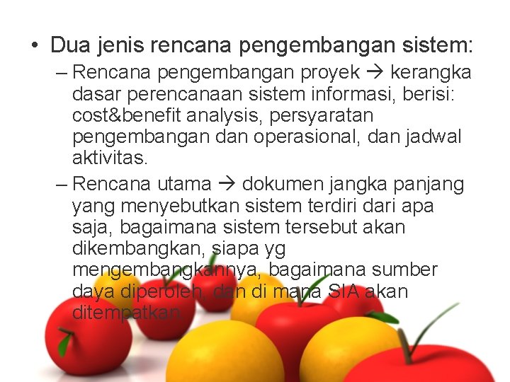  • Dua jenis rencana pengembangan sistem: – Rencana pengembangan proyek kerangka dasar perencanaan