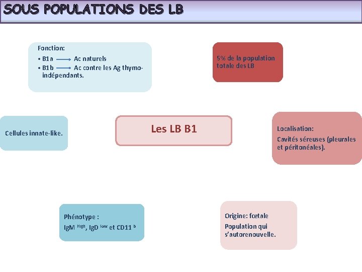 SOUS POPULATIONS DES LB Fonction: 5% de la population totale des LB • B
