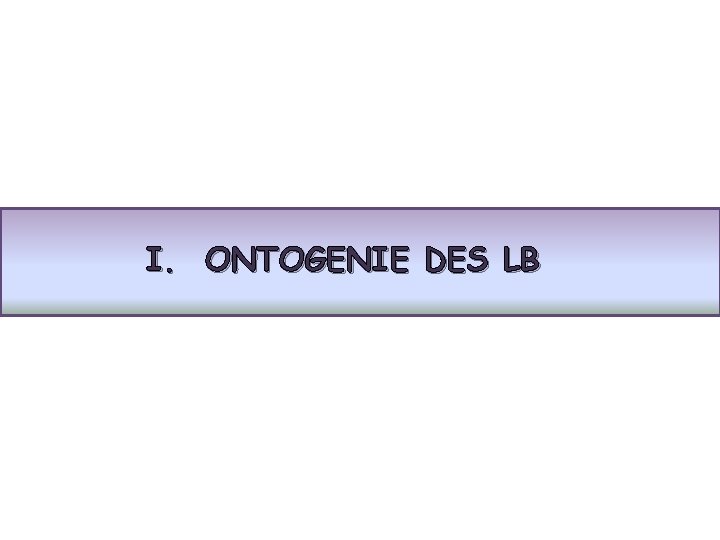 I. ONTOGENIE DES LB 