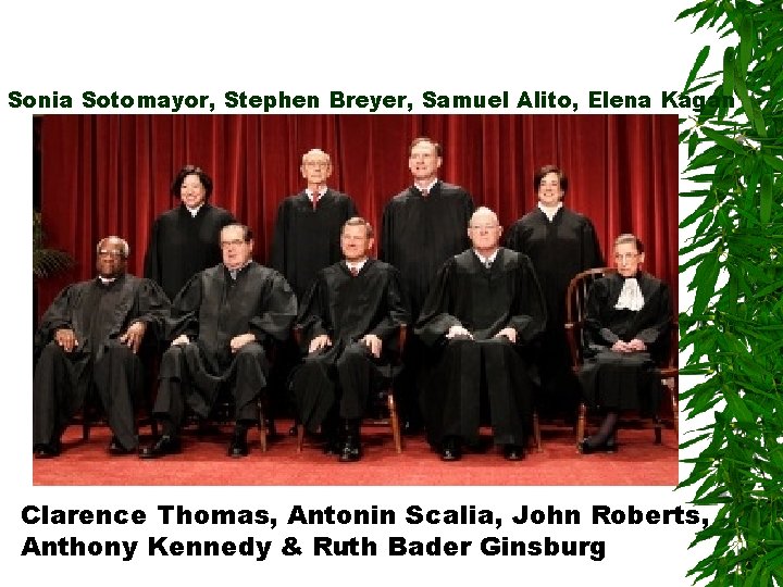 Sonia Sotomayor, Stephen Breyer, Samuel Alito, Elena Kagan Clarence Thomas, Antonin Scalia, John Roberts,
