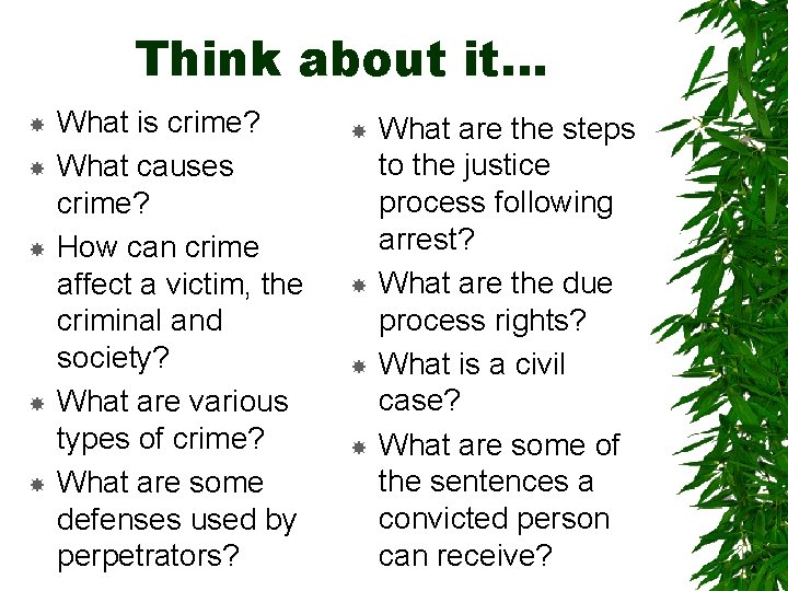 Think about it… What is crime? What causes crime? How can crime affect a