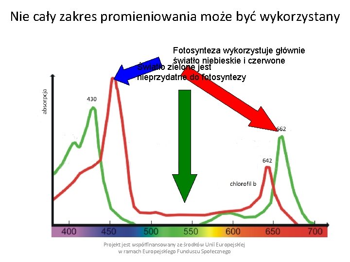 Nie cały zakres promieniowania może być wykorzystany Fotosynteza wykorzystuje głównie światło niebieskie i czerwone