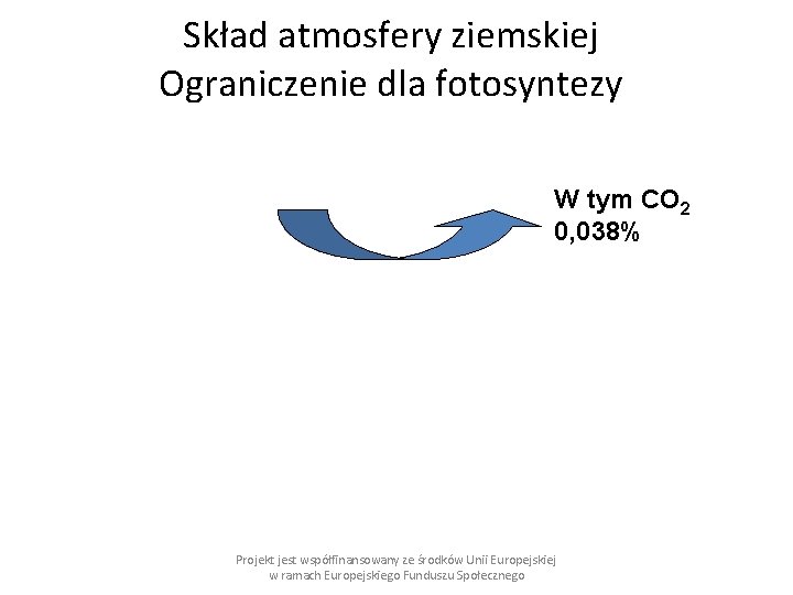 Skład atmosfery ziemskiej Ograniczenie dla fotosyntezy W tym CO 2 0, 038% Projekt jest