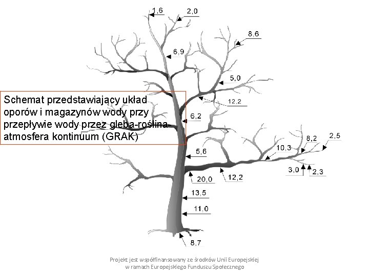 Schemat przedstawiający układ oporów i magazynów wody przepływie wody przez gleba-roślinaatmosfera kontinuum (GRAK) Projekt