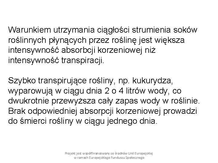 Warunkiem utrzymania ciągłości strumienia soków roślinnych płynących przez roślinę jest większa intensywność absorbcji korzeniowej