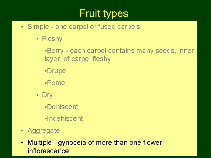 Fruit types • Simple - one carpel or fused carpels • Fleshy • Berry