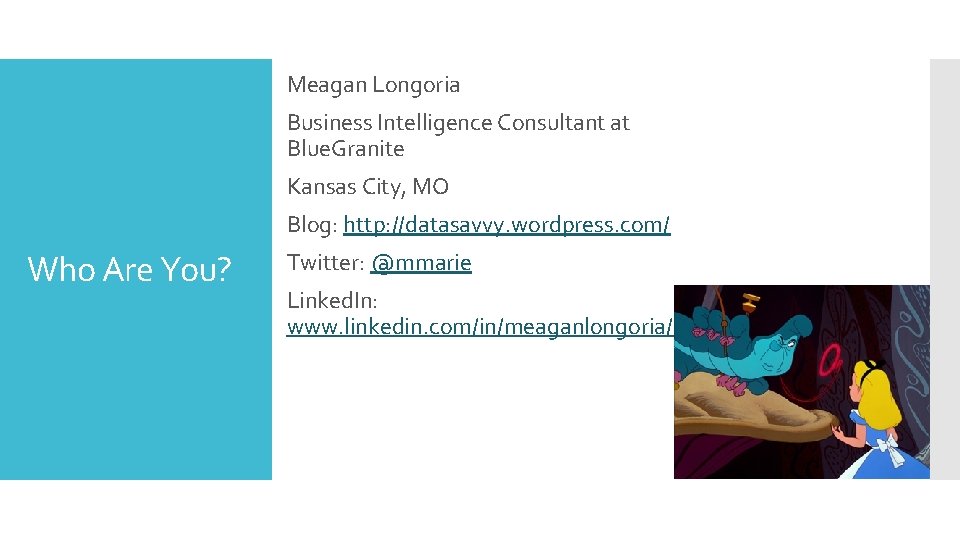 Meagan Longoria Business Intelligence Consultant at Blue. Granite Kansas City, MO Blog: http: //datasavvy.