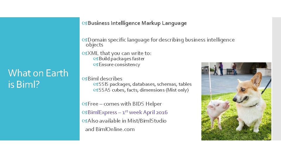  Business Intelligence Markup Language Domain specific language for describing business intelligence objects XML
