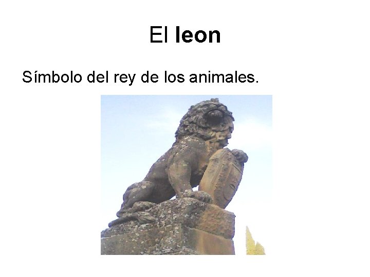 El leon Símbolo del rey de los animales. 