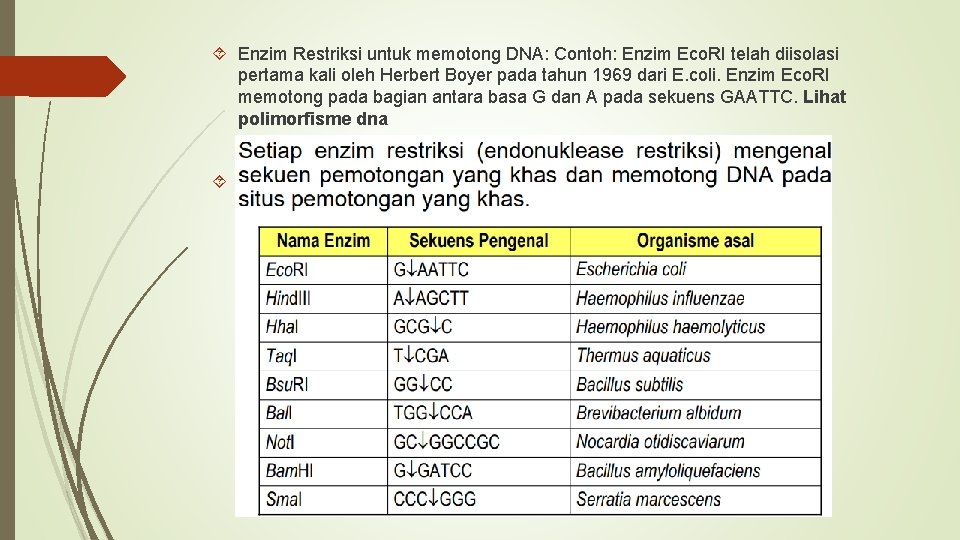  Enzim Restriksi untuk memotong DNA: Contoh: Enzim Eco. RI telah diisolasi pertama kali