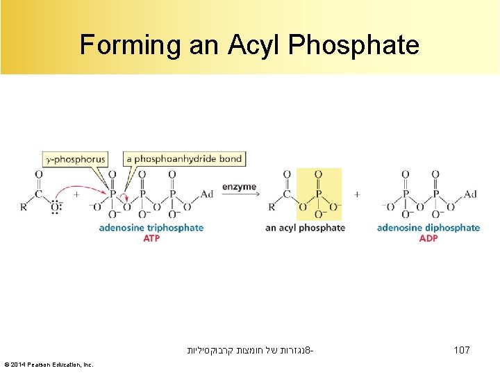 Forming an Acyl Phosphate נגזרות של חומצות קרבוקסיליות 8© 2014 Pearson Education, Inc. 107